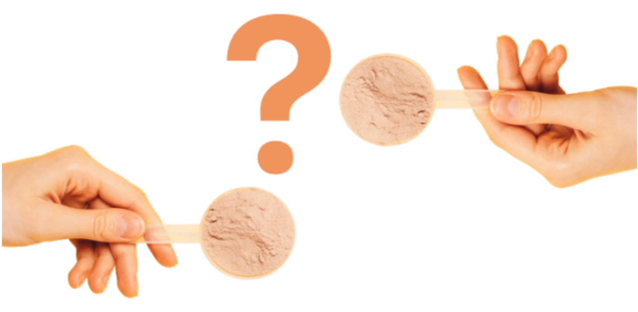 What is the difference between protein powder & a meal replacement?