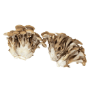 Maitake and  Shiitake Mushrooms