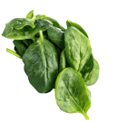 Spinach