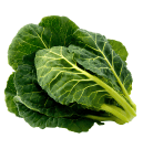Vitamin B6